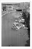 Stream Polluted with Automotive and Household Waste by Anonymous