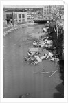Stream Polluted with Automotive and Household Waste by Anonymous