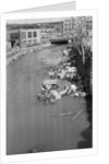Stream Polluted with Automotive and Household Waste by Anonymous