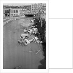Stream Polluted with Automotive and Household Waste by Anonymous