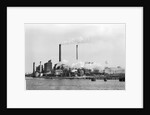 Paper Mill by Anonymous
