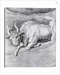 Engraving Of Taurus by Anonymous
