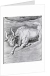 Engraving Of Taurus by Anonymous