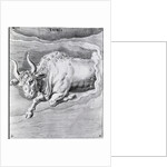 Engraving Of Taurus by Anonymous