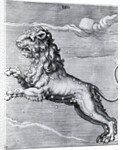 Engraving Of The Lion; Constellation by Anonymous