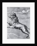 Engraving Of The Lion; Constellation by Anonymous
