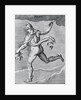 Engraving Of Constellation Perseus by Anonymous