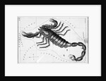 Scorpio Constellation Illustrated on Star Map by Anonymous