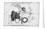 Sagittarius & Other Constellations by Anonymous