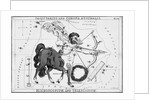 Sagittarius & Other Constellations by Anonymous