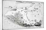 Constellations Pegasus & Equuleus by Anonymous