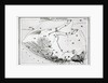 Constellations Pegasus & Equuleus by Anonymous