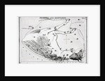 Constellations Pegasus & Equuleus by Anonymous
