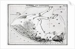 Constellations Pegasus & Equuleus by Anonymous