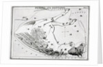 Constellations Pegasus & Equuleus by Anonymous