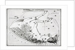 Constellations Pegasus & Equuleus by Anonymous