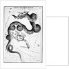Constellations;Little Bear;Dragon;Engr by Anonymous