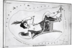 Engraving Of Constellation Cassiopeia by Anonymous