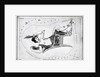 Engraving Of Constellation Cassiopeia by Anonymous