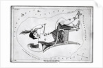Engraving Of Constellation Cassiopeia by Anonymous