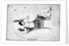 Engraving Of Constellation Cassiopeia by Anonymous