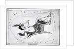 Engraving Of Constellation Cassiopeia by Anonymous