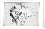 Engraving Of Constellation Gemini by Anonymous