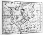 Engraving Of Constellation Serpens by Anonymous