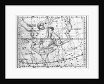 Engraving Of Constellation Serpens by Anonymous