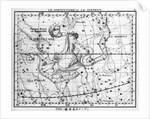 Engraving Of Constellation Serpens by Anonymous