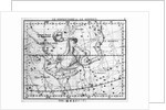 Engraving Of Constellation Serpens by Anonymous