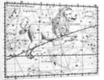 Engraving Of Constellation Leo by Anonymous