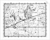 Engraving Of Constellation Leo by Anonymous