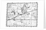 Engraving Of Constellation Leo by Anonymous
