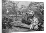 Survey Party in Australia by Anonymous