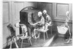Skeletons Shown Playing Piano, Etc by Anonymous