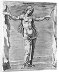 Engraving of Constellation Andromeda by Anonymous