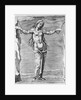 Engraving of Constellation Andromeda by Anonymous