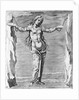 Engraving of Constellation Andromeda by Anonymous