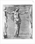 Engraving of Constellation Andromeda by Anonymous