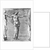 Engraving of Constellation Andromeda by Anonymous
