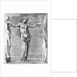 Engraving of Constellation Andromeda by Anonymous