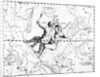 Engraving Of Constellation Gemini by Anonymous