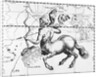 Engraving Of Constellation Sagittarius by Anonymous