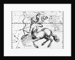 Engraving Of Constellation Sagittarius by Anonymous