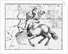 Engraving Of Constellation Sagittarius by Anonymous