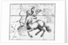 Engraving Of Constellation Sagittarius by Anonymous