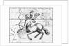 Engraving Of Constellation Sagittarius by Anonymous