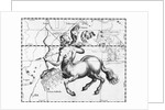 Engraving Of Constellation Sagittarius by Anonymous