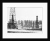 Signal Hill Oil Derricks by Anonymous